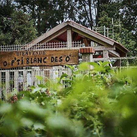 Bed and Breakfast le p'ti blanc des o à Salazie Extérieur photo